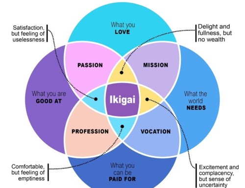Do you have Ikigai in your life?