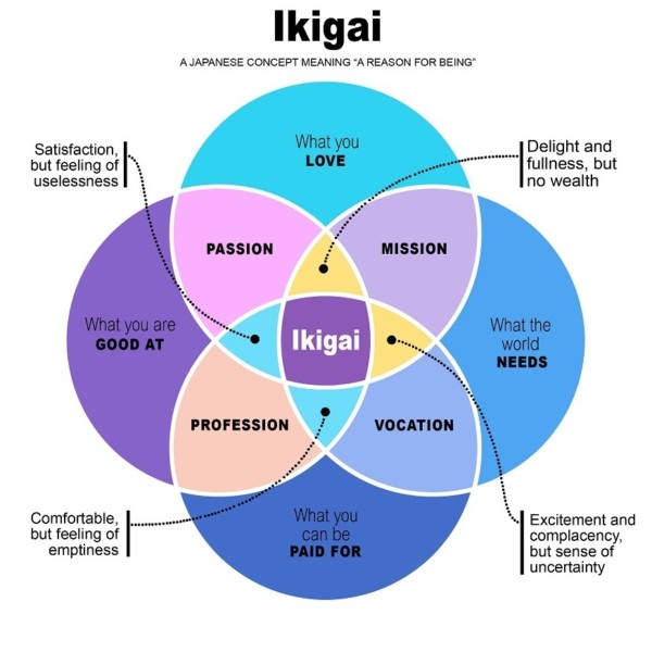 do-you-have-ikigai-in-your-life-liesl-frank-holistic-kinesiology