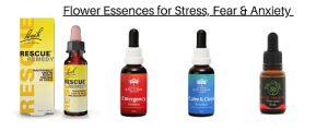 Flower Essences for Stress, Fear & Anxiety
